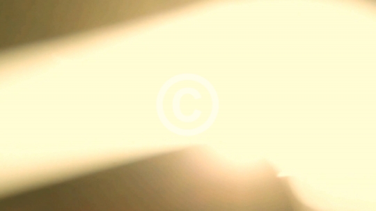 280300052